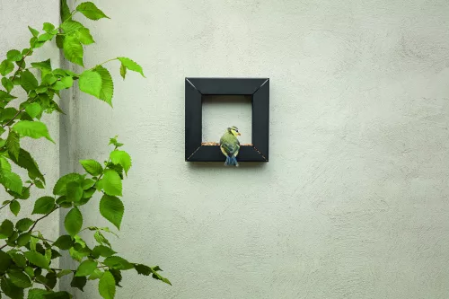 FRAME BIRD FEEDER  fekete 21x21xm-es fém falra szerelhető madáretető