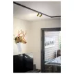 GRIP! S 48V arany-fekete dim-to-warm DALI hengeres dimmelhető állítható LED spot lámpa 48V alacsony feszültségű sínhez