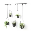 UMBRA TRIFLORA 5db-os 1018086-040 Fekete dísznövény és fűszertartó függő kaspó