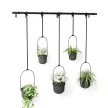 UMBRA TRIFLORA 5db-os 1018086-040 Fekete dísznövény és fűszertartó függő kaspó